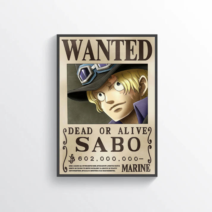 ONE PIECE WANTED