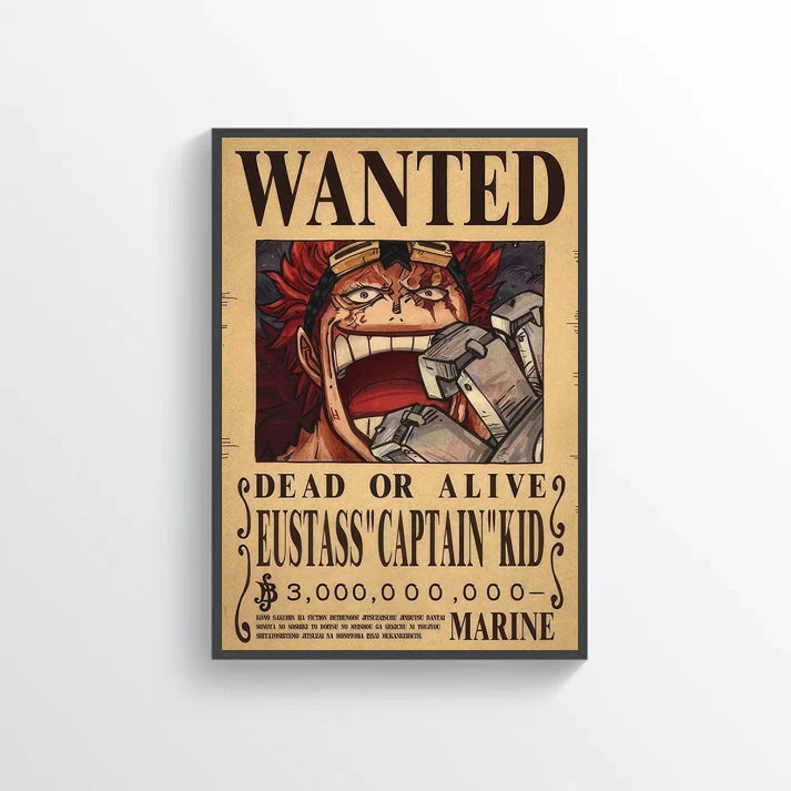 ONE PIECE WANTED